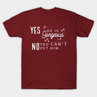 Yes He Is Gorgeous, No You Can't Pet Him - Dark Shirt Version T-Shirt